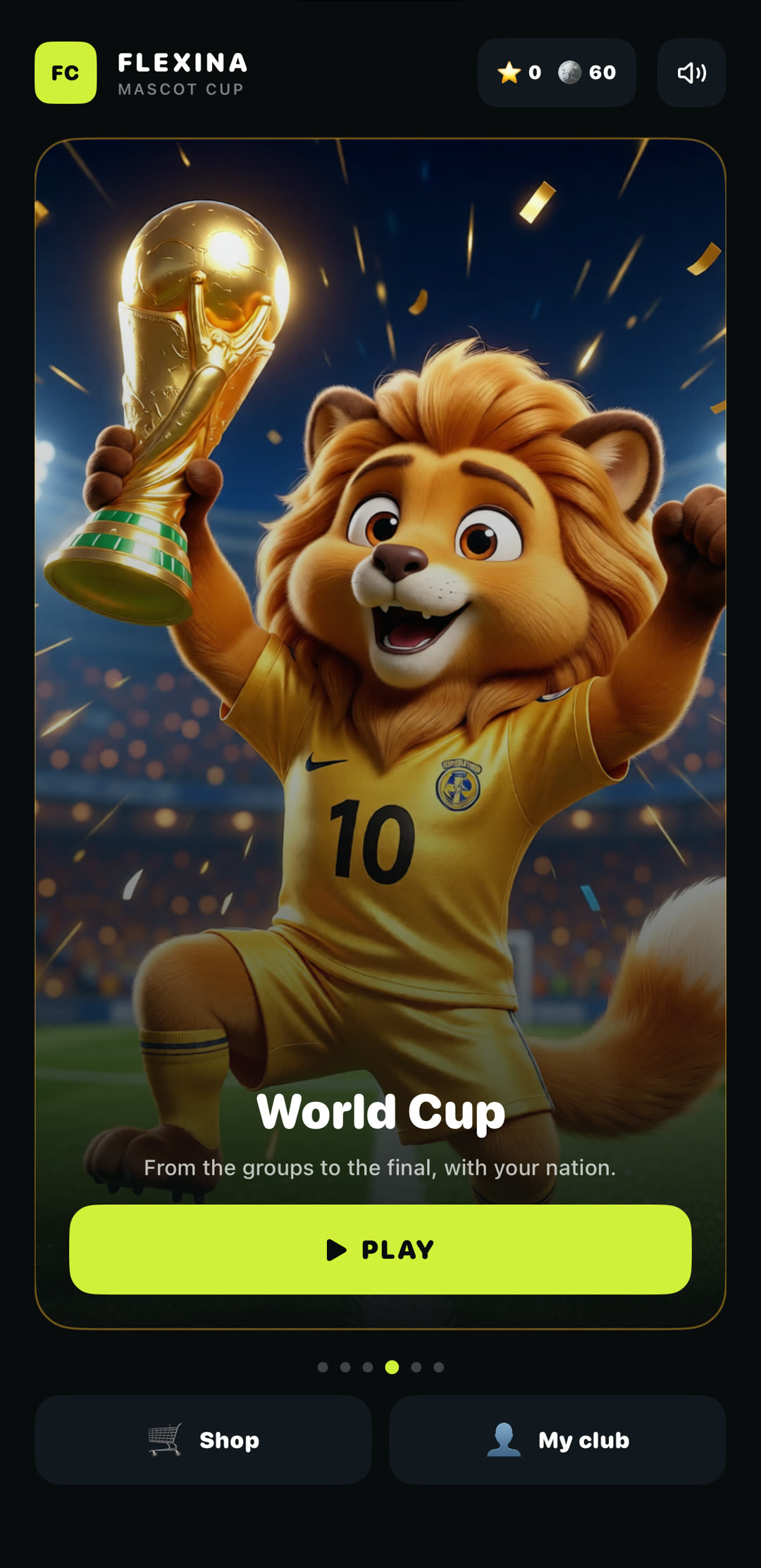 About the game